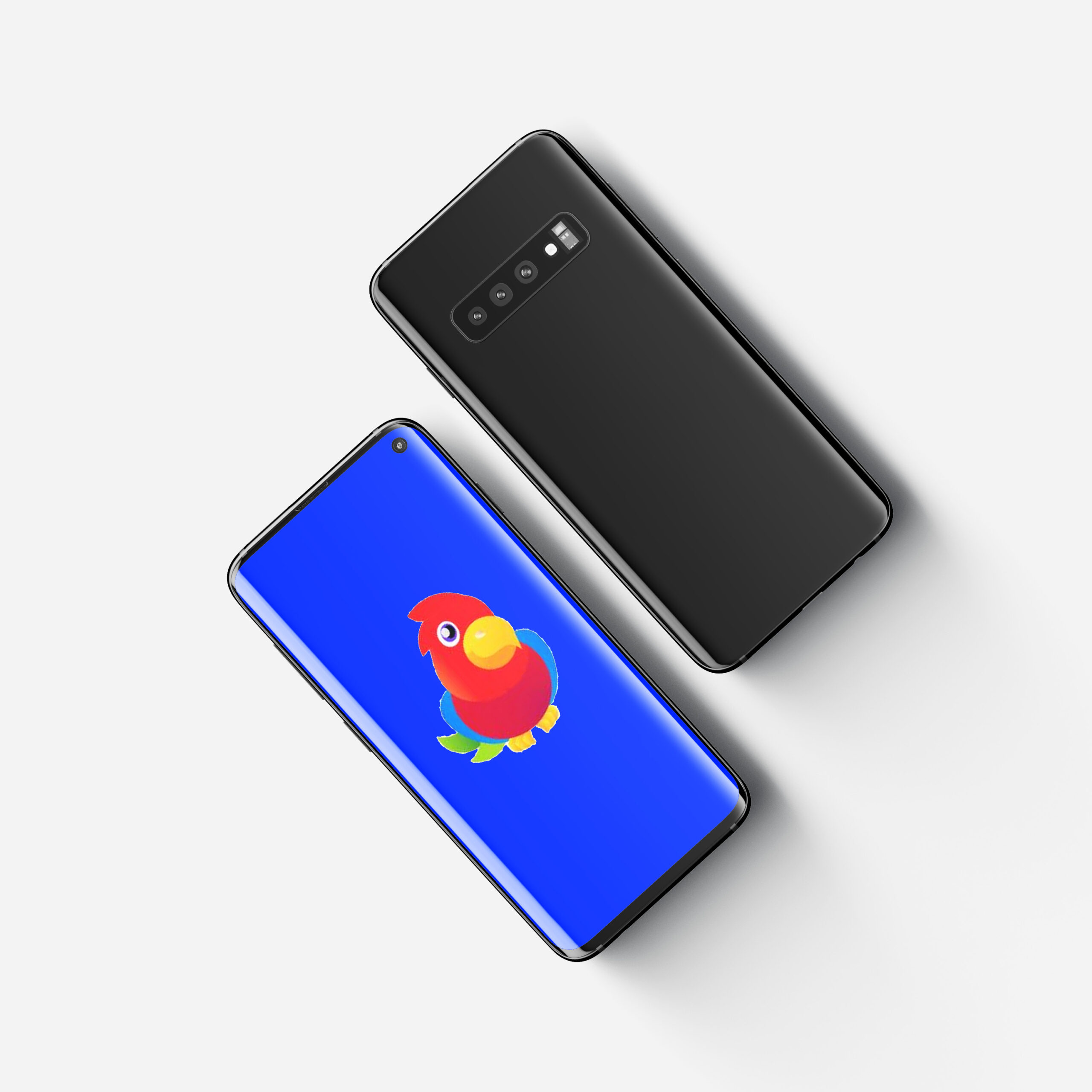 Basic Phone Input